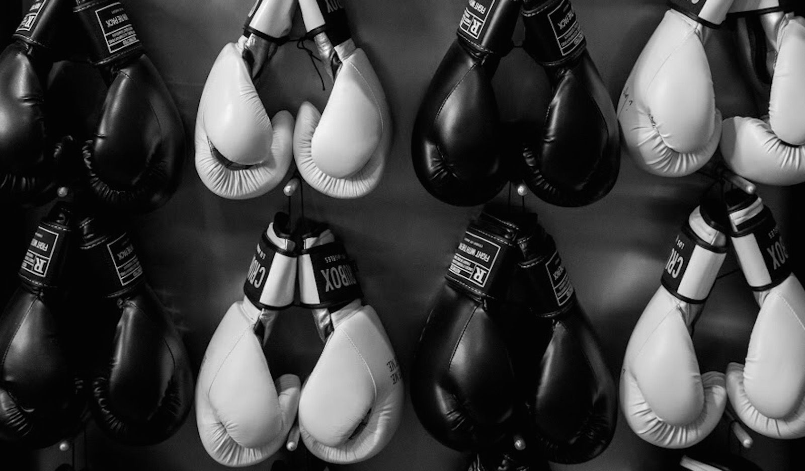 Boxer God Contending for the Faith | The Kingdom-Driven Family